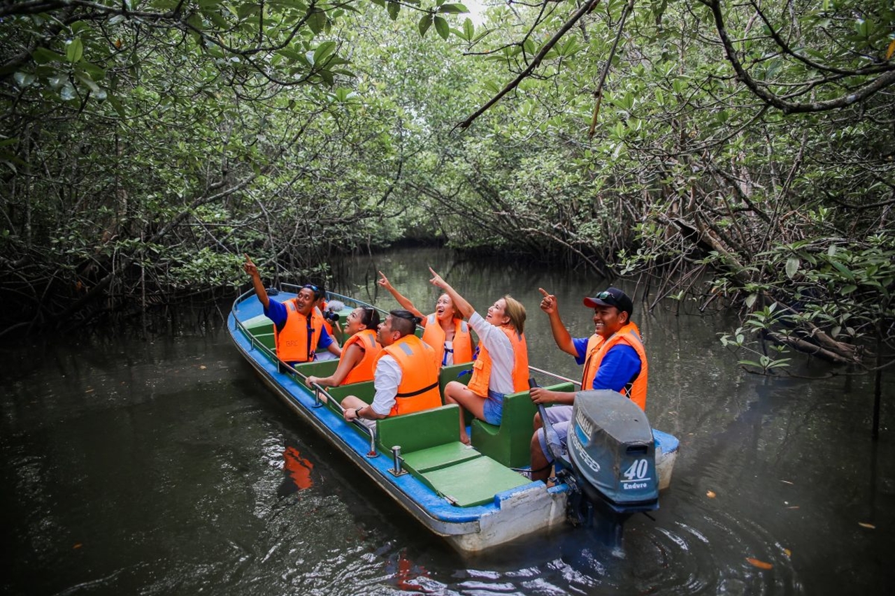 Mangrove