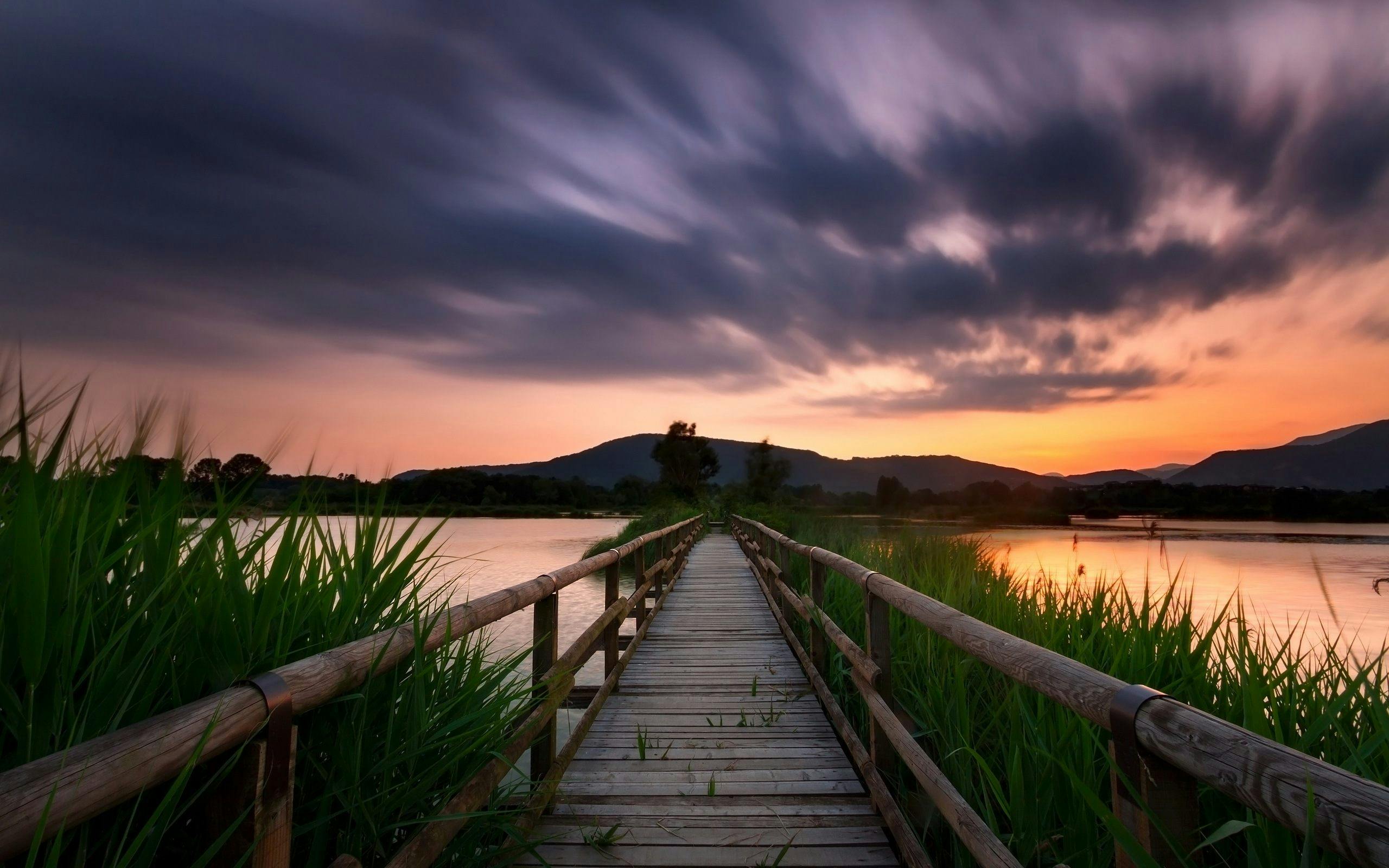Nature