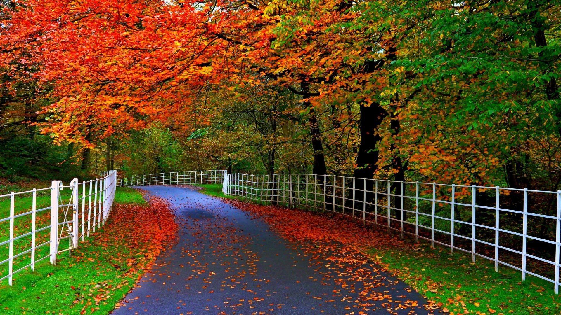 Beautiful Street